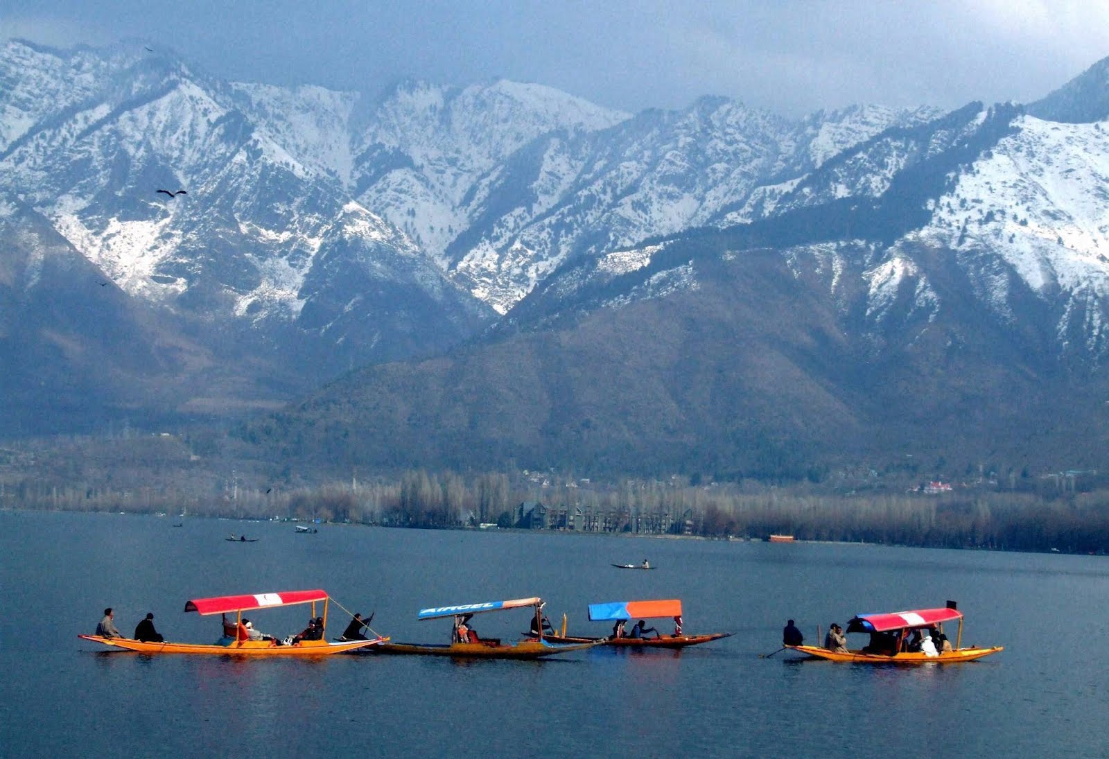 The scenic beauty of Dal Lake 