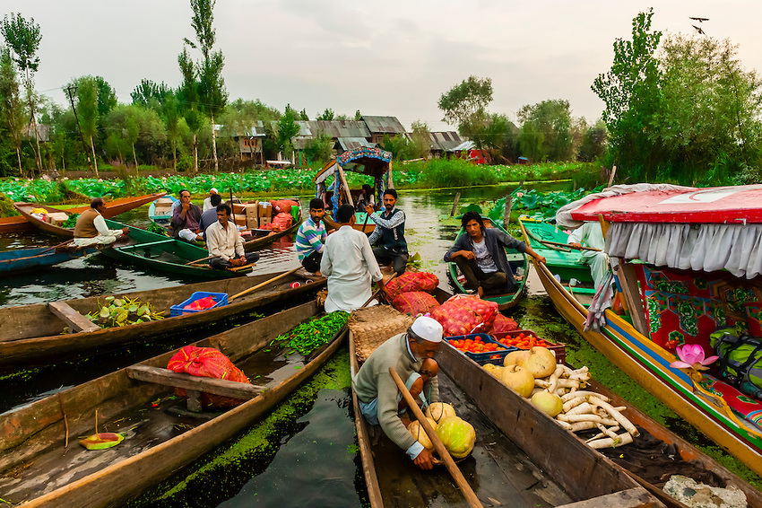 The early morning floating market on Dal Lake in Srinagar, Kashmir, Jammu and Kashmir State, India.