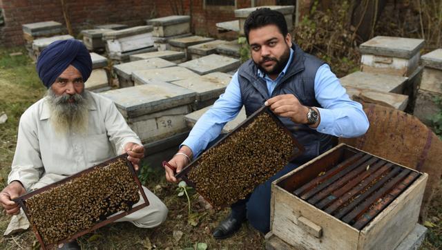 Punjab-beekeeping, a family business