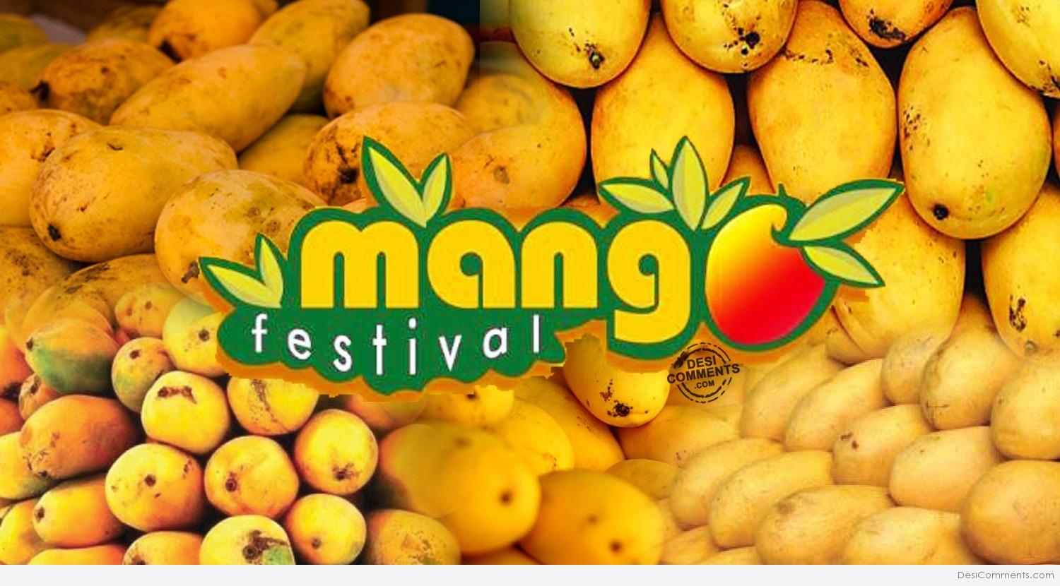 The Mango Festival