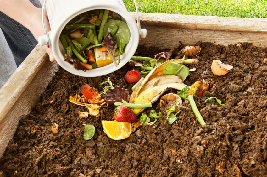 Compost using Vegetable Peel
