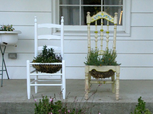 Using Furniture for Plants