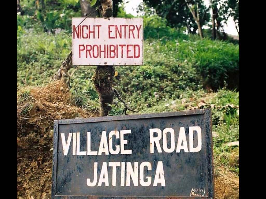 jatinga village