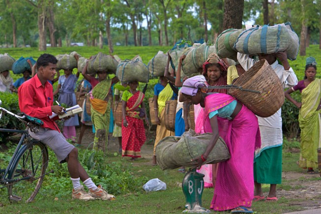 The workers came from different parts of India and settled here image courtesy: www.caravanmagazine.in