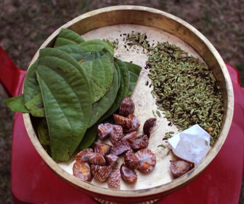 A favourite pastime in Assam is chewing Tamul-Pan image courtesy: www.holidayiq.com