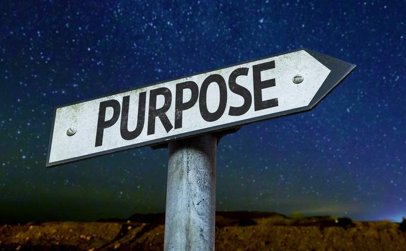 Purpose adds meaning to the life.