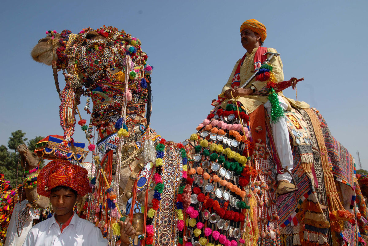 Decorate the camel at Bikaner Camel Festival