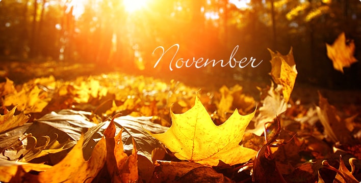 November is the month