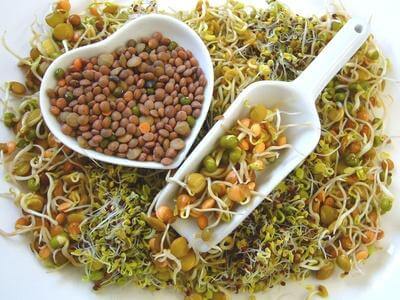 Sprouts &amp; Legumes