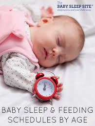 Feeding and napping schedule