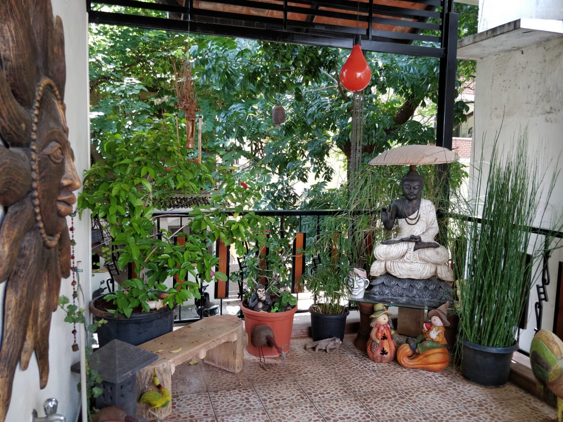 bonsai, livingandexploring